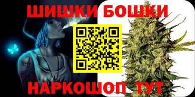 спиды Гатчина