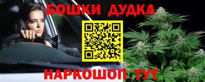 спиды Гатчина