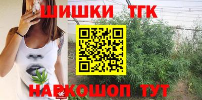 спиды Гатчина