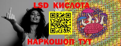 спиды Гатчина