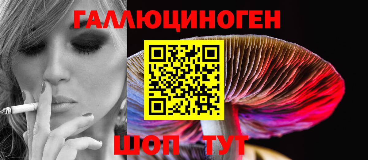 хочу   Псилоцибиновые грибы Psilocybine cubensis  Набережные Челны  Вход с VPN  Псилоцибиновые грибы Psilocybine cubensis 